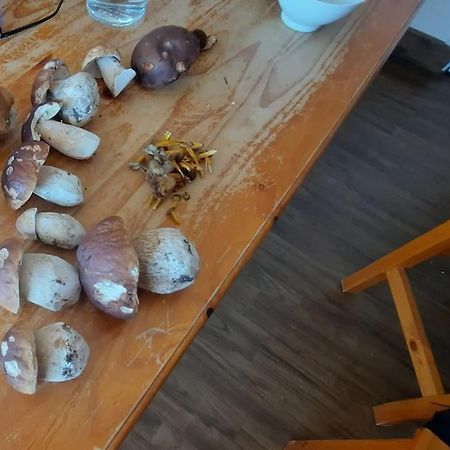 Appartement Vercors 4 Personnes オトゥラン エクステリア 写真