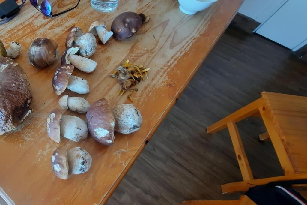 Appartement Vercors 4 Personnes オトゥラン エクステリア 写真